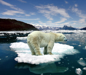 December 1, 2015—Global Warming and the Grid.