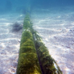 December 19, 2017—Vulnerable Undersea Cables?